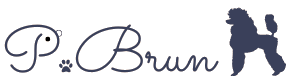 P.Brun